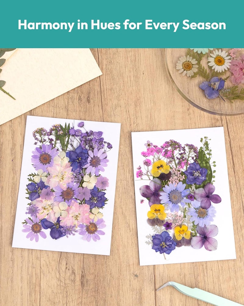 Resiners Dried Flowers, 58Pcs Pressed Flowers for Craft Purple Real Natural Dried Flowers Dry Leaves Kit for DIY Making Crafts Resin Soap Candle Scrapbook Supplies Card Making Jewelry - Image 5
